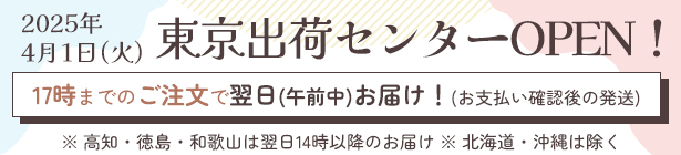 ラッピーバルーン4